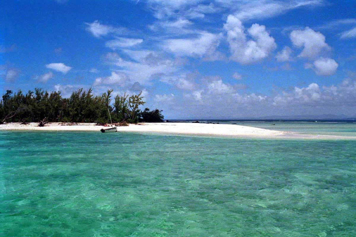 Male City